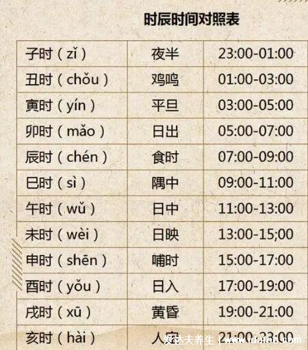 十二时辰对照表时间表口诀,动物出没时间命名(子时23点到1点)