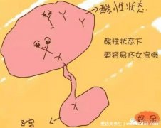 生女孩的科学方法，酸性状态更易生女孩(注