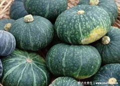 十大南瓜排行榜,这些南瓜都很好吃(板栗南