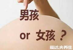 生男生女清宫图准不准，无科学依据准确率