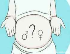 生男生女顺口溜，顺口溜可作公式计算(附准