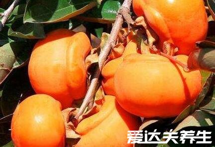 柿子的功效与作用禁忌,柿子杀菌止痒却不能与鹅肉同吃