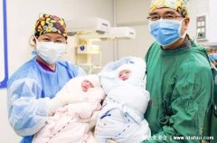 试管一对龙凤胎多少钱，和一个试管婴儿全