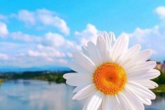 适合各种心情的句子，万能的朋友圈文案总