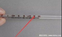 水银温度计看法图片，手把手教你温度计怎
