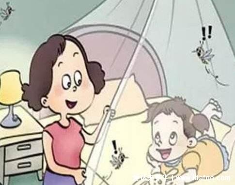 睡觉防蚊子的最好办法,5个小妙招让你睡个好觉(试试啤酒驱蚊)