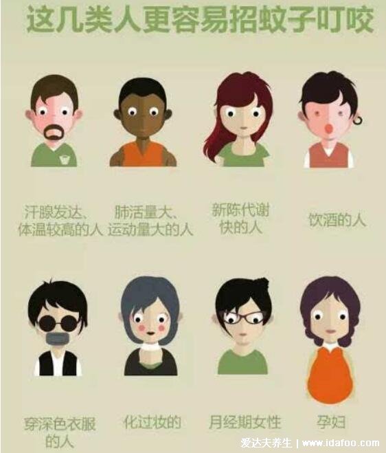 睡觉防蚊子的最好办法,5个小妙招让你睡个好觉(试试啤酒驱蚊)