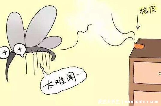 睡觉防蚊子的最好办法,5个小妙招让你睡个好觉(试试啤酒驱蚊)
