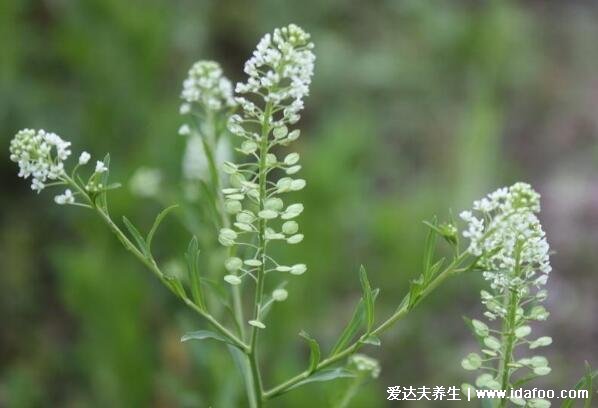四大鬼节哪个最恐怖,中元节鬼门大开最恐怖(鬼节习俗)
