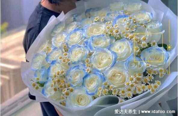 碎冰蓝玫瑰是染的吗多少钱一支,20元一朵白玫瑰染的(含花语图片)