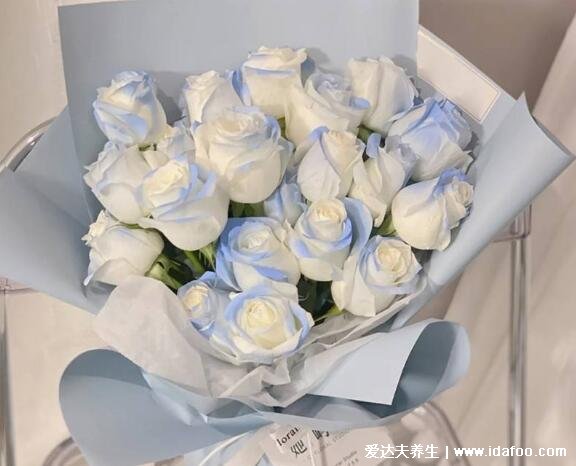 碎冰蓝玫瑰是染的吗多少钱一支,20元一朵白玫瑰染的(含花语图片)