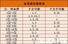 通过血型遗传规律表，教你快速测试宝宝的