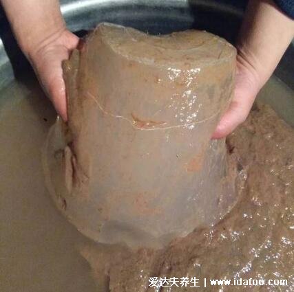 太岁是什么东西图片,不死不灭的肉灵芝不要轻易吃
