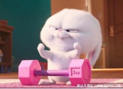 兔子头像暗示什么,这个人温柔可爱且内心