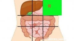 胃疼是哪个部位疼图片，注意上腹部疼痛不