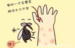 蚊子喜欢咬什么样的人?这5类人包括穿暗深色