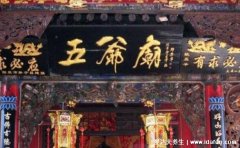 最近大家对于到底是五十六个星座还是五十