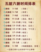 五脏对应时辰对照表，不同时辰保养相对的
