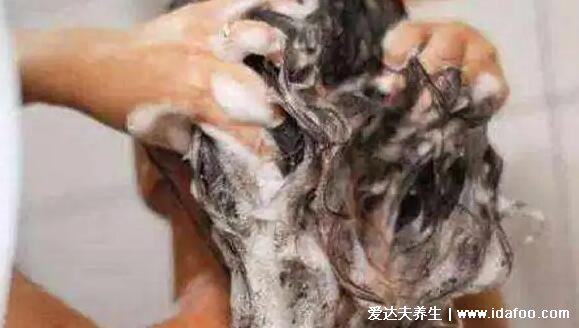洗澡为什么不能先洗头,影响血液循环诱发疾病(正确的洗澡顺序)