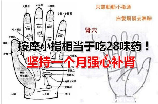 小拇指上的经络图解,关联心肾坚持按能治疗28种疾病功效巨大