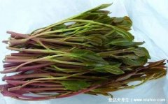 新型毒品阿拉伯茶图片,外形像茶叶和苋菜
