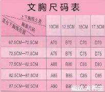 胸罩ABCD尺码表，快来测一测你属于哪个罩杯