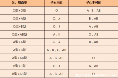 血型遗传规律表，夫妻都是O型血子女只能是