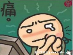 牙龈肿痛十大消炎药,阿莫西林常见抗菌药