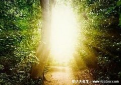 阳寿已尽的老人表现，可能手脚冰凉神志不