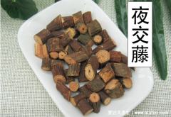 夜交藤治疗失眠的用法，四种用法强推夜交