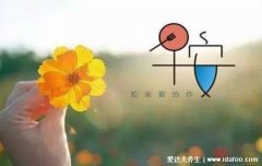 一天一句心情早安语，给对象的爱心短句温