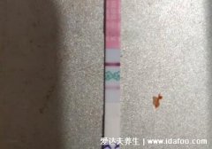 一深一浅是来月经先兆,排卵试纸未必排卵