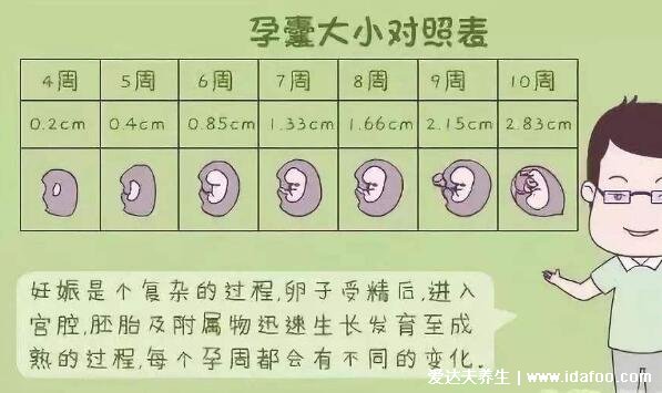 一分钟看懂孕囊大小对照表,生男生女其实看孕囊很准
