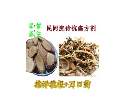 一个农民治癌症的偏方，有杨桃根和刀口药(附抗肿瘤最强中草药)