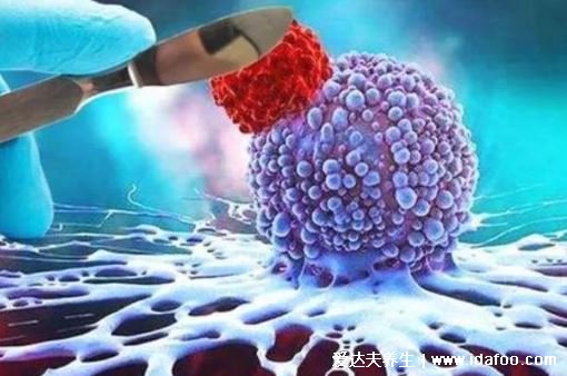 一个农民治癌症的偏方，有杨桃根和刀口药(附抗肿瘤最强中草药)