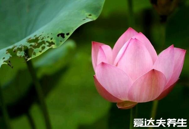 一看就舒心的图片,温暖又治愈人心
