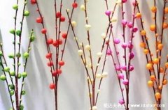 银柳摆放禁忌，摆放不得当影响生长还不利