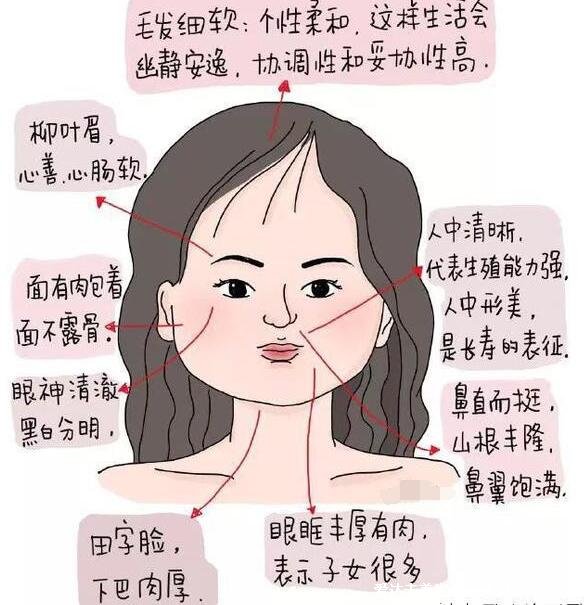 右手手相图解大全女生运势，快来看看你的线纹(智慧线短不聪明)