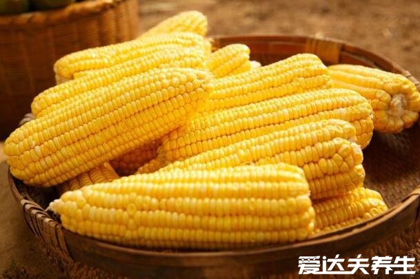 玉米什么时候传入中国的,明代时期从美洲地区引进(附玉米功效)