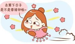 月经干净了第几天排卵,下次来月经的前1