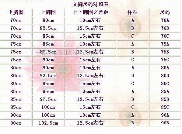 运动内衣怎么选尺码,罩杯和束带都需要合身(附尺码对照表)