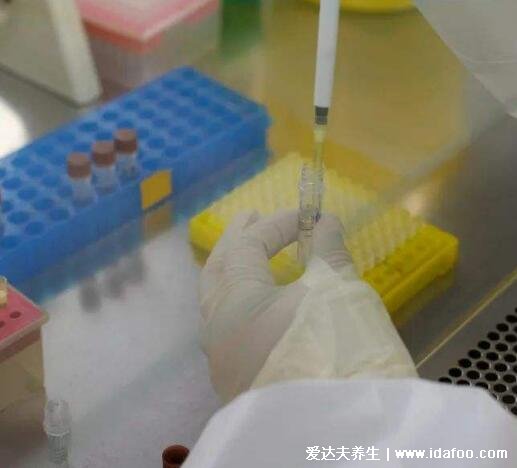 早上10点做核酸下午可以拿报告吗,可以很多医院4小时出(附网上查询法)