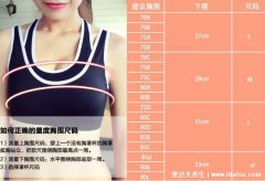 运动内衣怎么选尺码，罩杯和束带都需要合