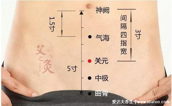 早泄穴位按摩图片,五大穴位助勃延时让你告别阳痿早泄