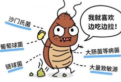 蟑螂是怎么进入家里的，随着外来物品携带