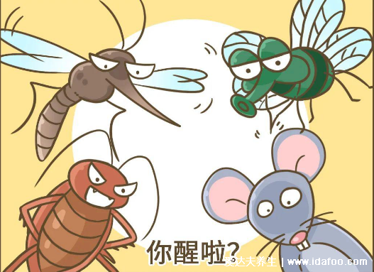 蟑螂会靠近熟睡的人吗,会最喜欢咬幼嫩的肌肤和毛发