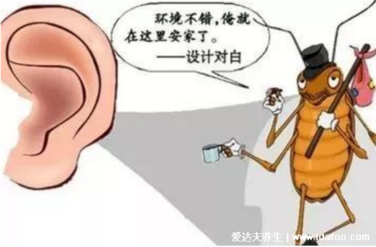 蟑螂会靠近熟睡的人吗,会最喜欢咬幼嫩的肌肤和毛发
