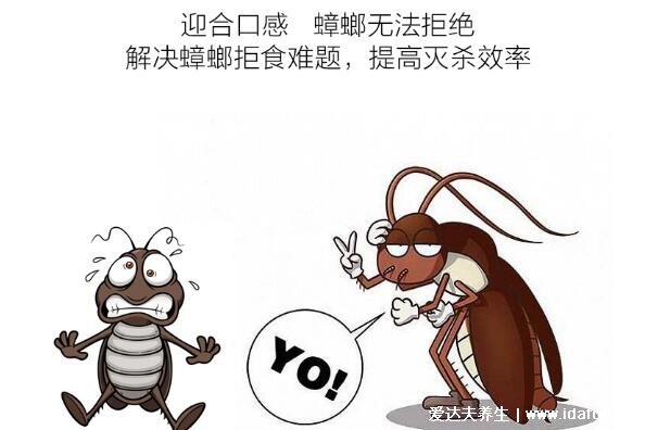 蟑螂怎么消灭最彻底小妙招,家里放一物绝对没蟑螂(千万不要用脚踩)