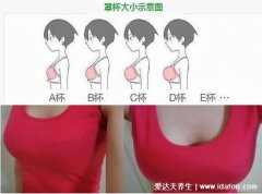罩杯abcd怎么计算，用上胸围减下胸围(教你胸