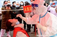 正确鼻咽拭子采集深度，长度是多少厘米(从